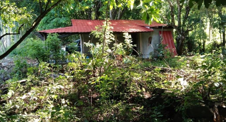 Land for sale – Ruwanwella