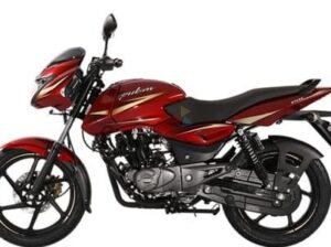 Bajaj Pulsar Stickers