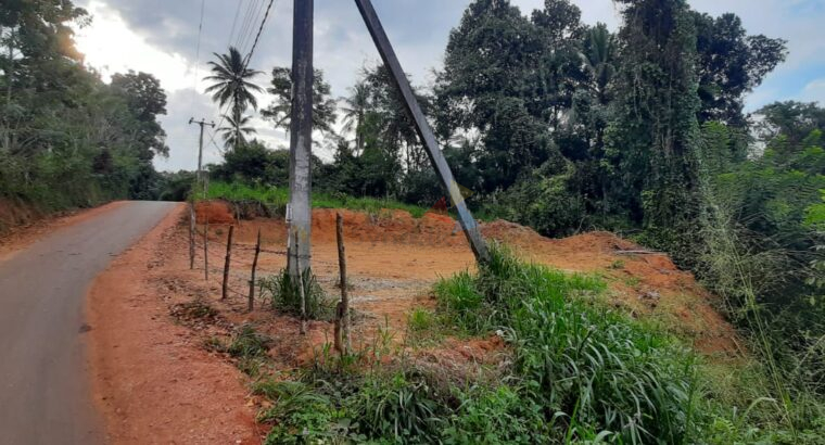 Land For Sale In Rambukkana