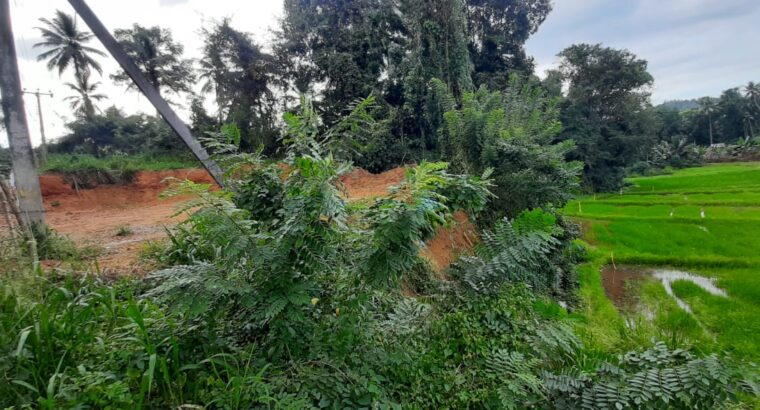 Land For Sale In Rambukkana