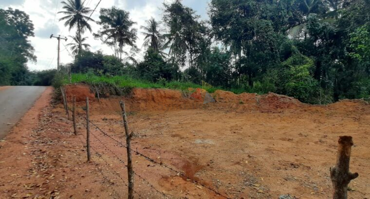 Land For Sale In Rambukkana