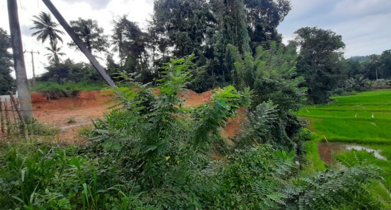 Land For Sale In Rambukkana