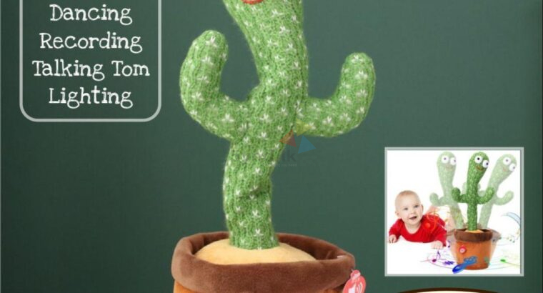 Dancing Cactus Toy