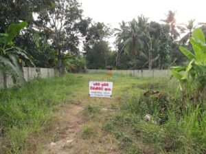 Land For Sale In Anuradhapura