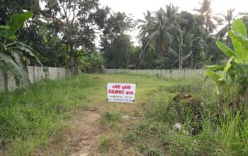 Land For Sale In Anuradhapura