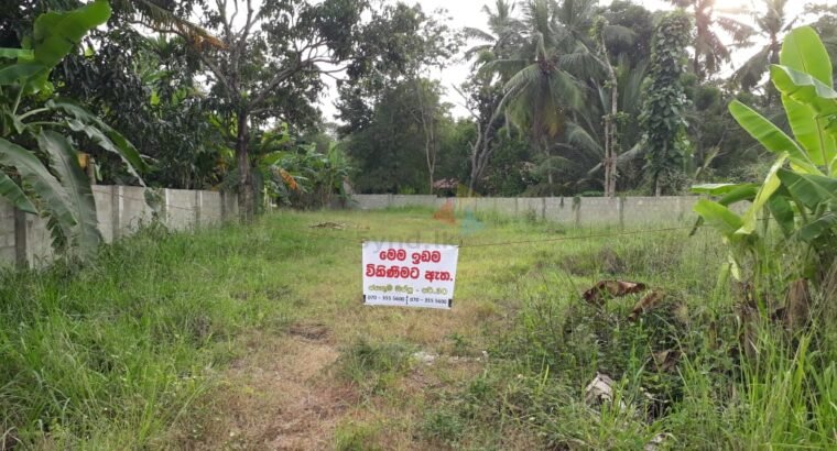 Land For Sale In Anuradhapura