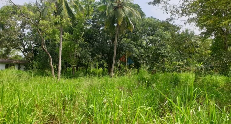 Residential Land for sale In Polonnaruwa