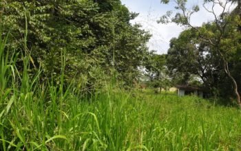 Residential Land for sale In Polonnaruwa