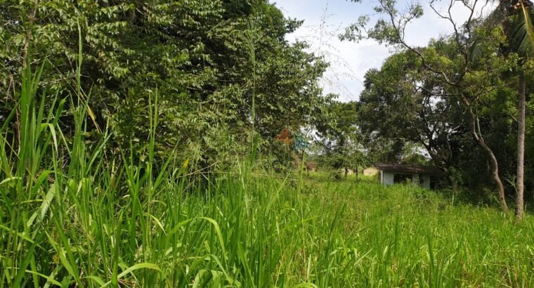 Residential Land for sale In Polonnaruwa