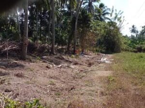 Land For Sale In Dunagaha