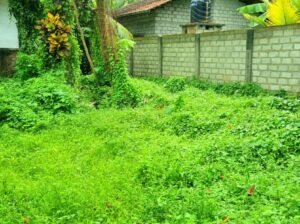 60 Perches Land For Sale Near To Nugawela Junction