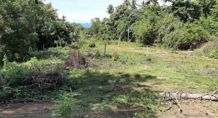 Land For Sale In Monaragala