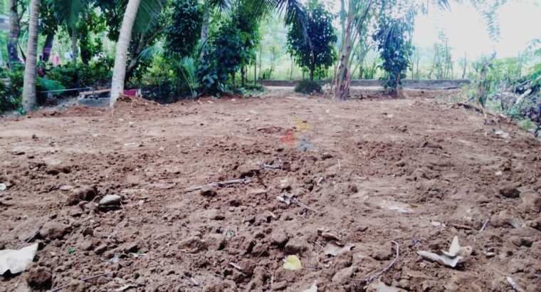 Land For Sale In Monaragala Town