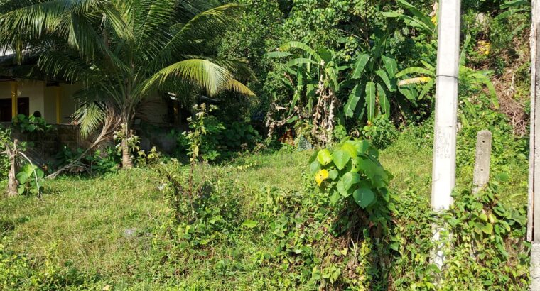 Land For Sale In Panadura