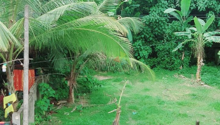Land For Sale In Panadura