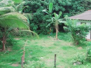 Land For Sale In Panadura