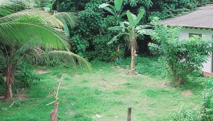 Land For Sale In Panadura
