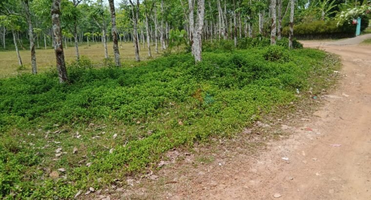 Land For Sale In Bandaragama