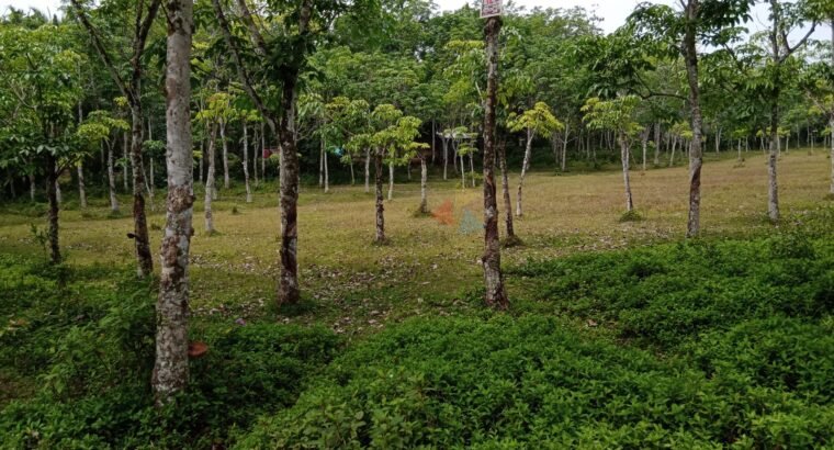 Land For Sale In Bandaragama