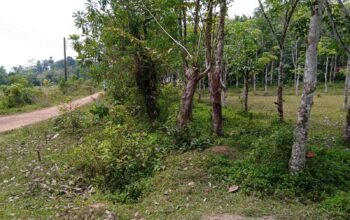 Land For Sale In Bandaragama