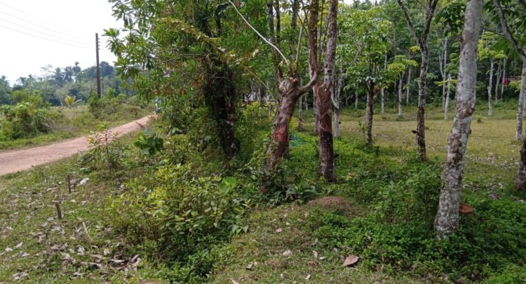 Land For Sale In Bandaragama