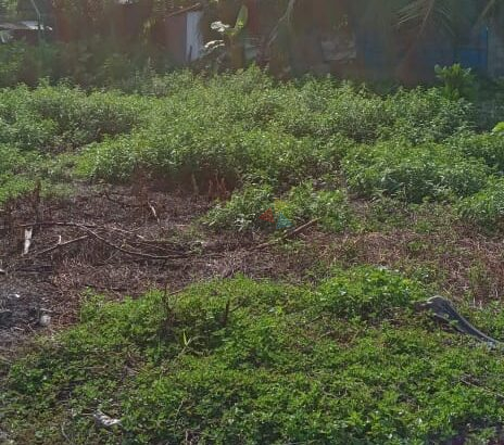 Land For Sale In Panadura