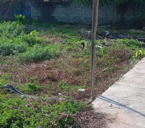 Land For Sale In Panadura
