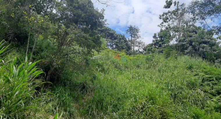 Land For Sale In Ginigathena