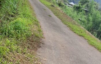 Land For Sale In Ginigathena