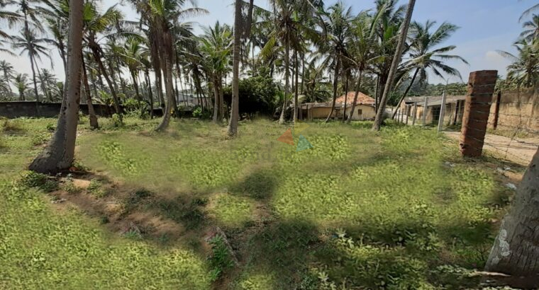 Land For Sale In Wattala