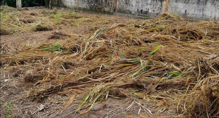 Land For Sale In Athurugiriya