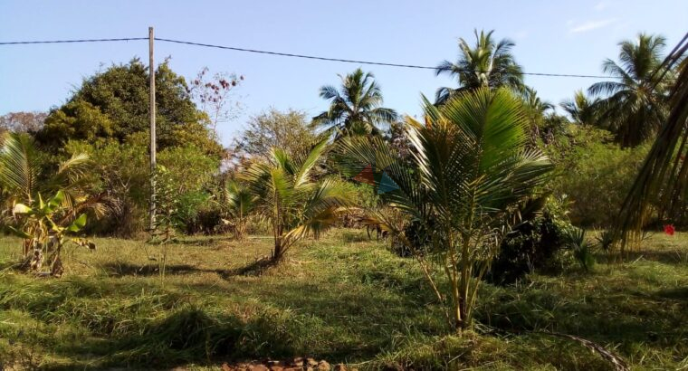 Land For Sale In Madurankuliya