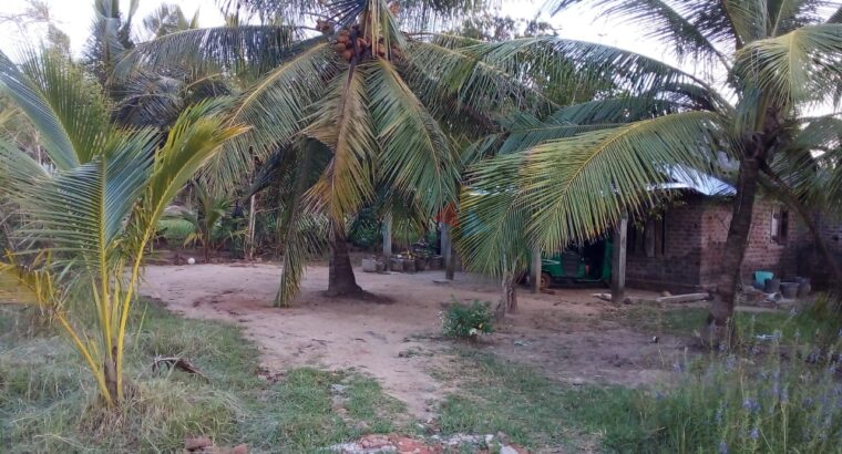 Land For Sale In Madurankuliya