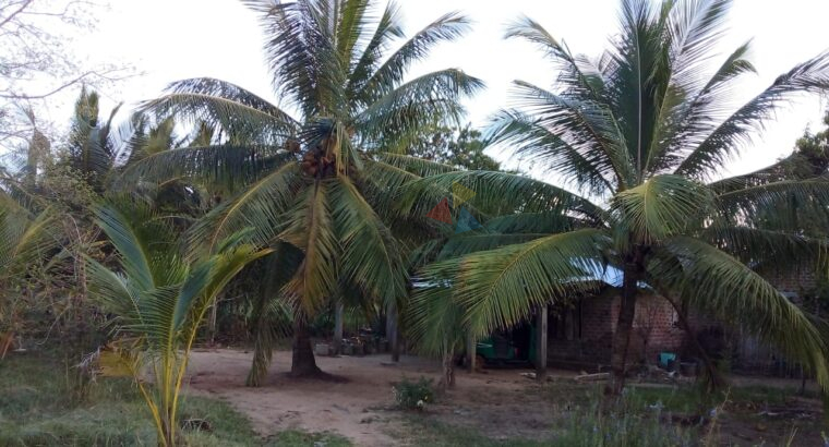 Land For Sale In Madurankuliya