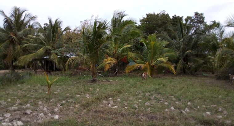 Land For Sale In Madurankuliya