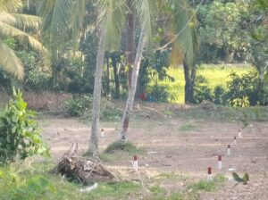 30 Perches Land For Sale In Whole Or In Parts  Malabe Vihara Mawatha