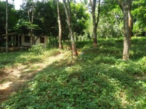 Land for Sale In Ratnapura