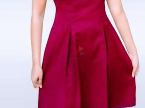 Women’s Frocks