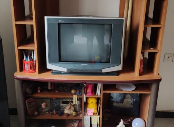 Damro TV Stand