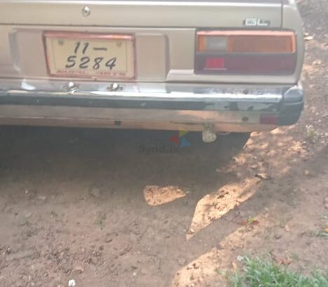 Nissan Sunny B310 1982