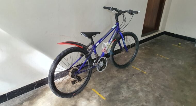 Lumala Bicycle