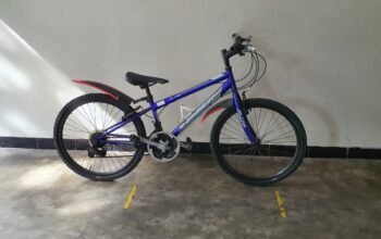 Lumala Bicycle