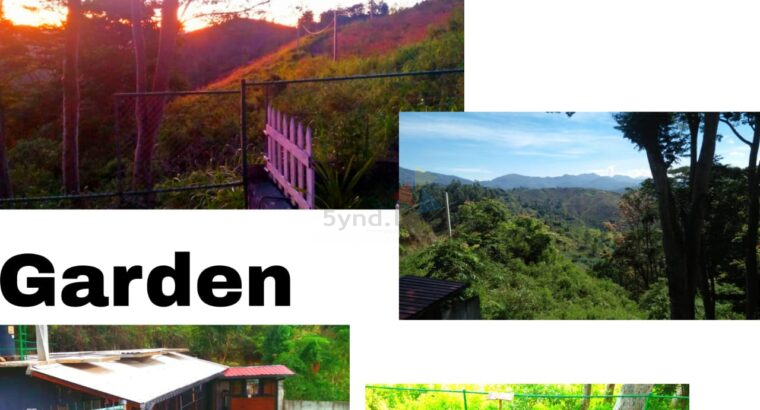 House For Sale In Hakgala