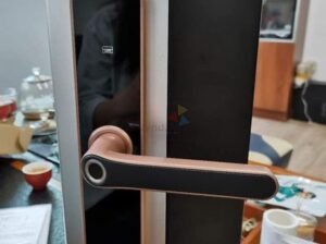 Tuya Smart Door Lock