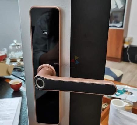 Tuya Smart Door Lock