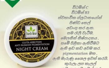 Gluta Arbuteen Anti Blemish Pigmentation Night Cream