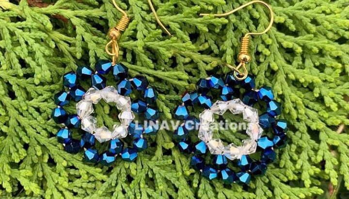 Stone Work Earrings