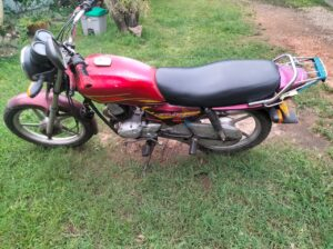 Yamaha Cruxs 2005