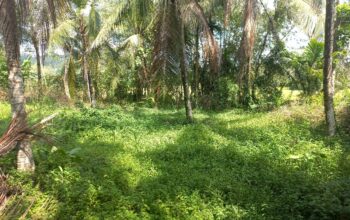 Land For Sale In Horana