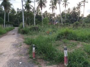 Land For Sale In Gampaha